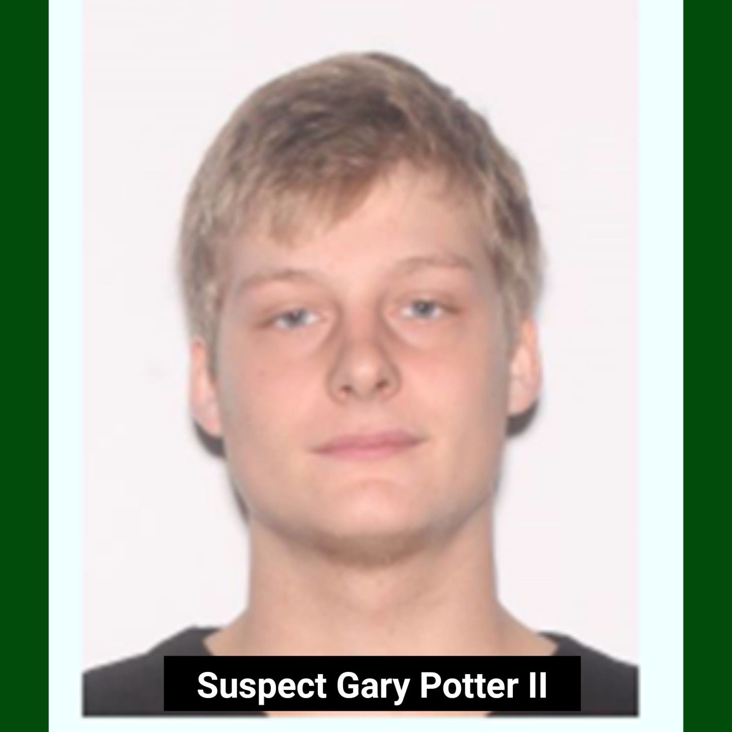 Potter